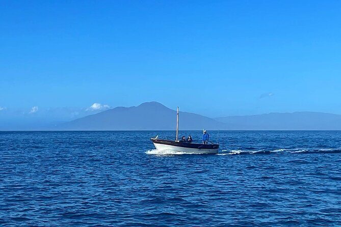 Complete Private Guided Two Hour Tour of the Coast of Capri - Who Is This Tour Perfect For?