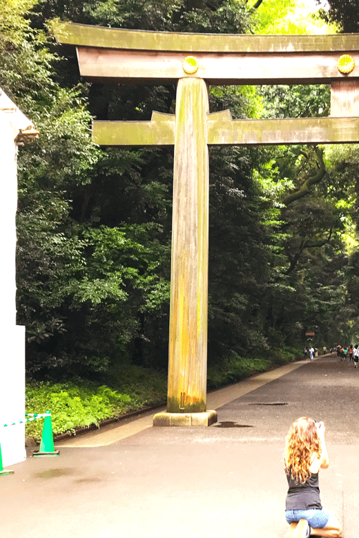 complete-tokyo-tour-explore-10-must-see-sights-hidden-gems