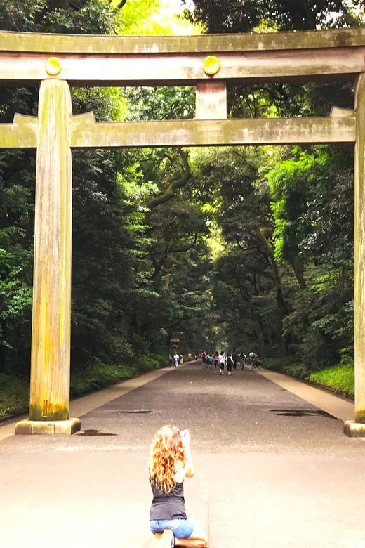 complete-tokyo-tour-explore-10-must-see-sights-hidden-gems