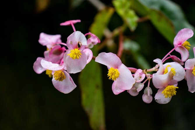 complete-tour-from-cusco-to-machu-picchu-by-train