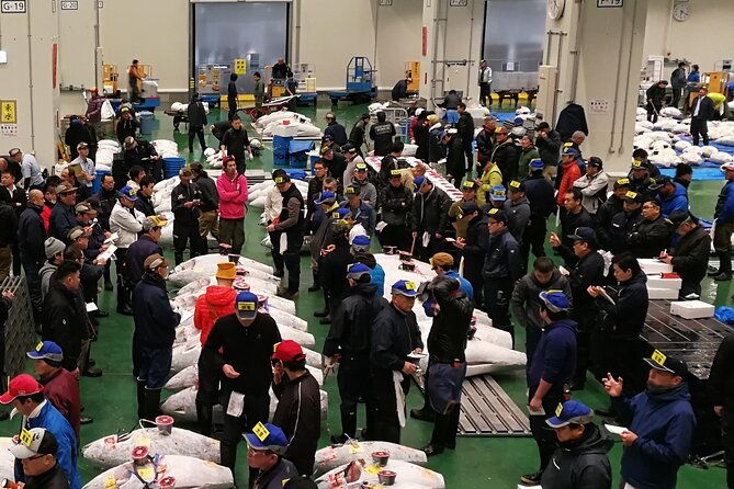complete-tuna-auction-toyosu-fish-market-tour
