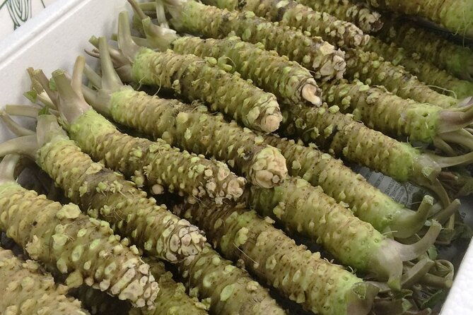 complete-tuna-auction-toyosu-fish-market-tour