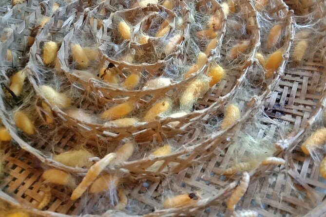 Completed Thai Silk Class Experience - The Value of This Silk Class Experience