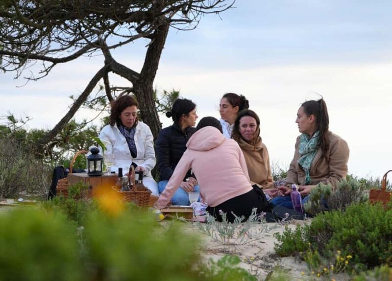 COMPORTA EXPERIENCE: LAND ROVER PREMIUM TOUR | PICNIC & DRONE INCLUDED - Who Should Consider This Tour?