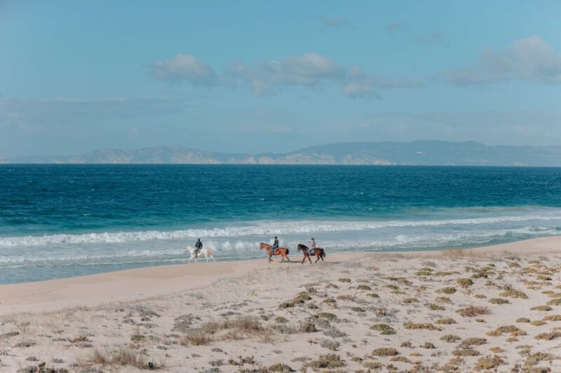comporta-guided-horseback-riding-experience