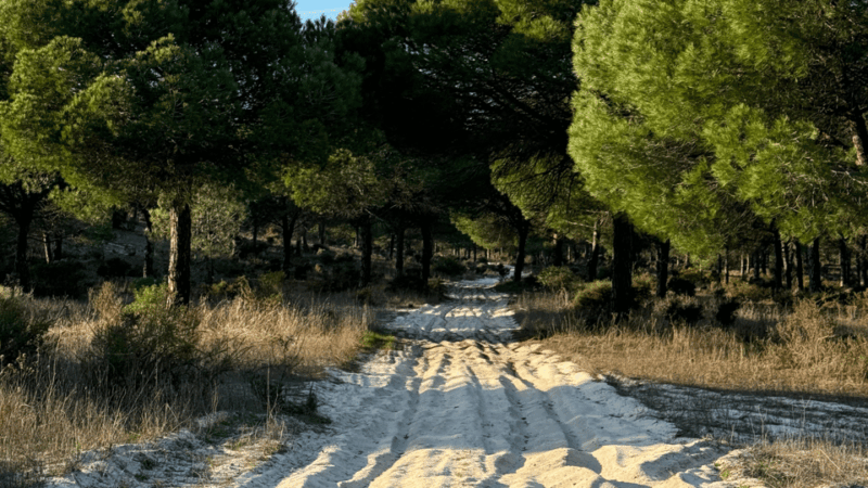 comporta-land-rover-premium-tour-picnic-drone-included