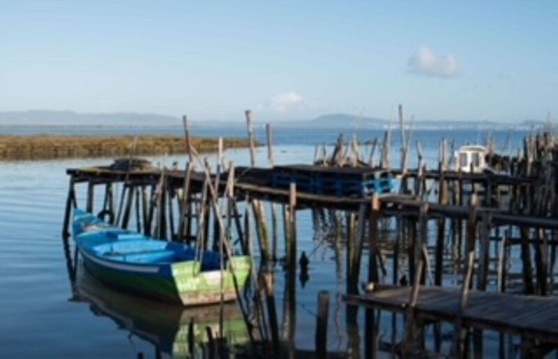 comporta-to-alcacer-do-sal-boat-trip