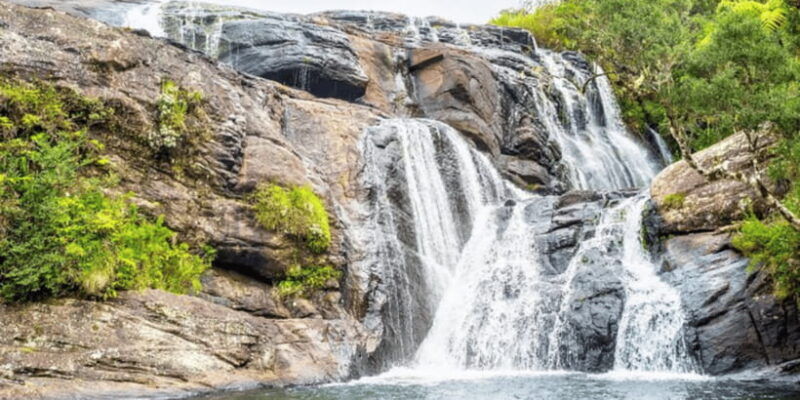 comprehensive-excursion-horton-plains-and-pedro-tea-factory