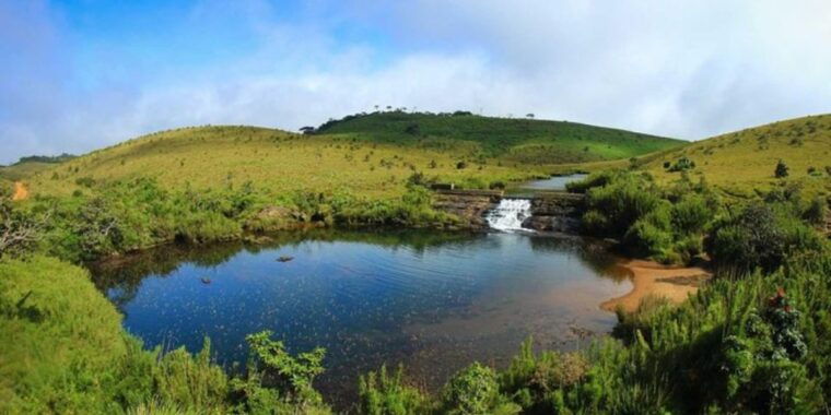 comprehensive-excursion-horton-plains-and-pedro-tea-factory