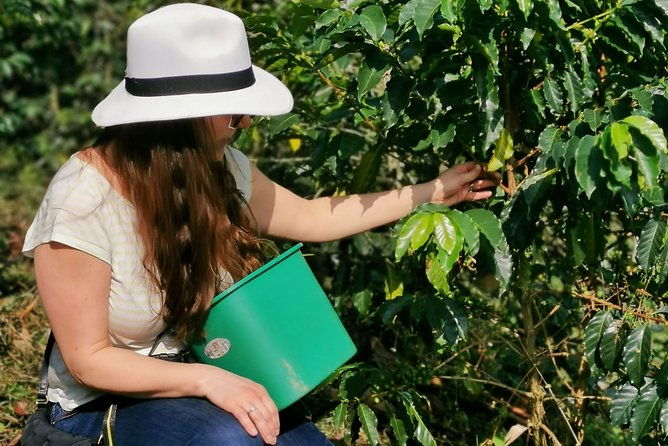 comuna-13-coffee-farm-private-tour-in-medellin-the-best-combo