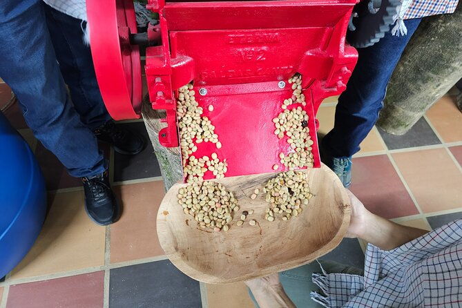 comuna-13-interactive-coffee-class