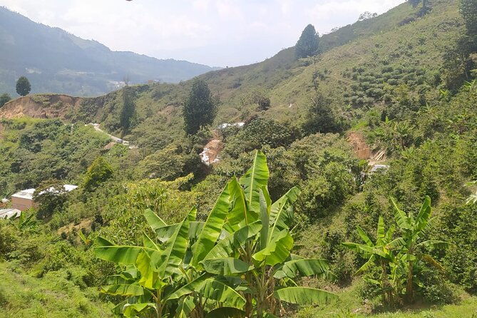 comuna-8-and-coffee-tour