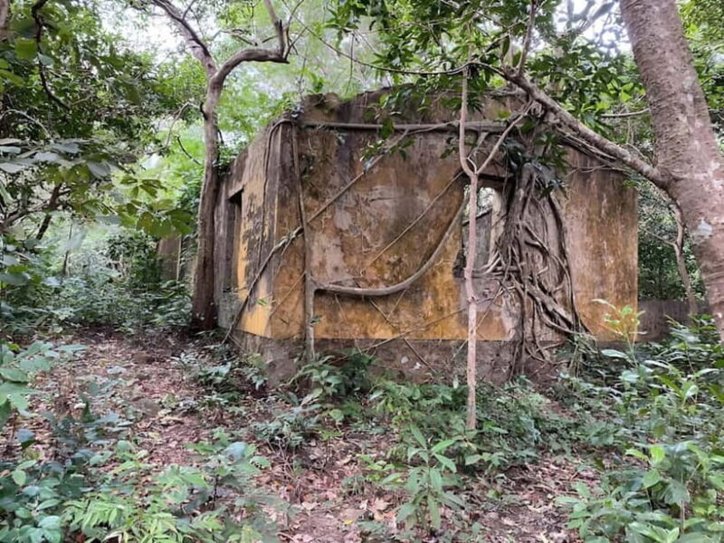 Con Dao: Journey Through So Ray  A Natural Wonder - Introduction to the So Ray Tour Experience