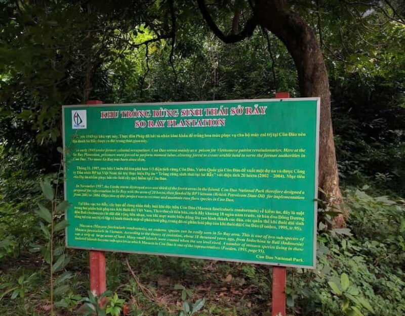 Con Dao: Journey Through So Ray  A Natural Wonder - What Makes This Tour Worth It?