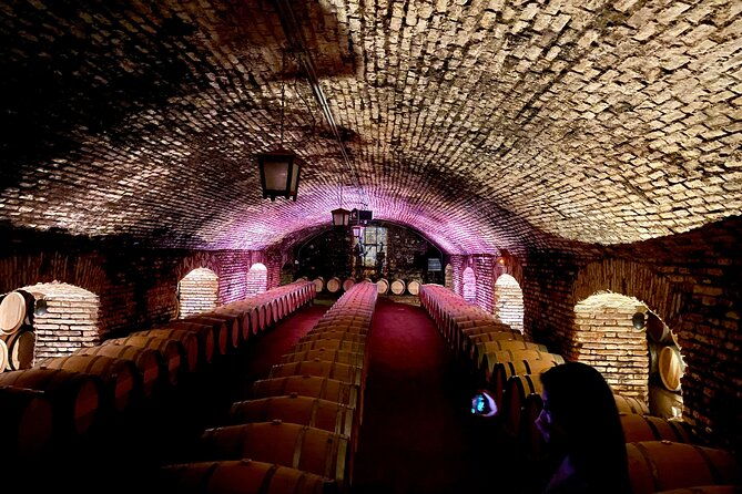 concha-y-toro-premium-tour-half-day