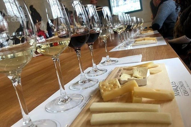 concha-y-toro-premium-tour-half-day