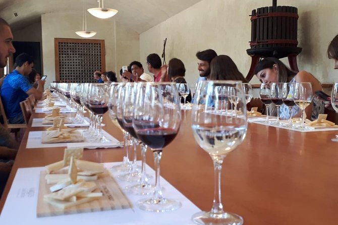 concha-y-toro-tour-marques-with-sommelier-class-and-extra-tasting