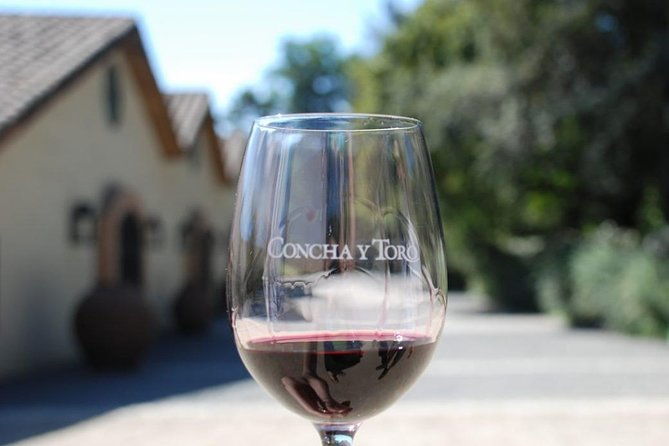 concha-y-toro-vineyard