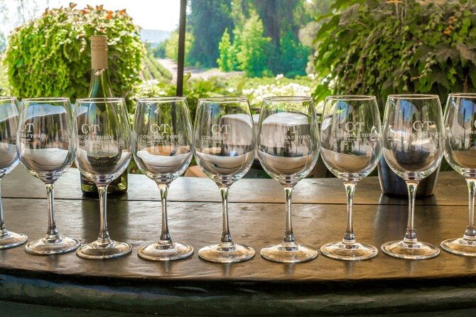 concha-y-toro-vineyard