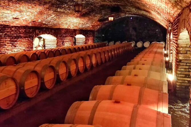 concha-y-toro-vineyard-tour-from-santiago