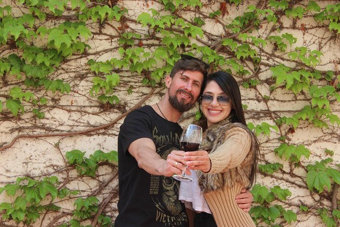 concha-y-toro-vineyard-traditional-tour