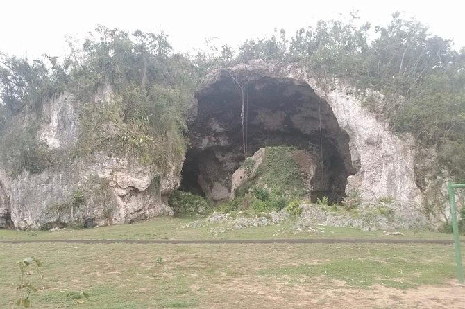 concrete-jungle-to-the-actual-jungle-the-complete-package-tour