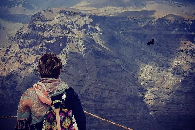 condor-watching-tour-at-the-andes-artisan-village-in-santiago