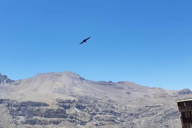 condor-watching-tour-at-the-andes-artisan-village-in-santiago