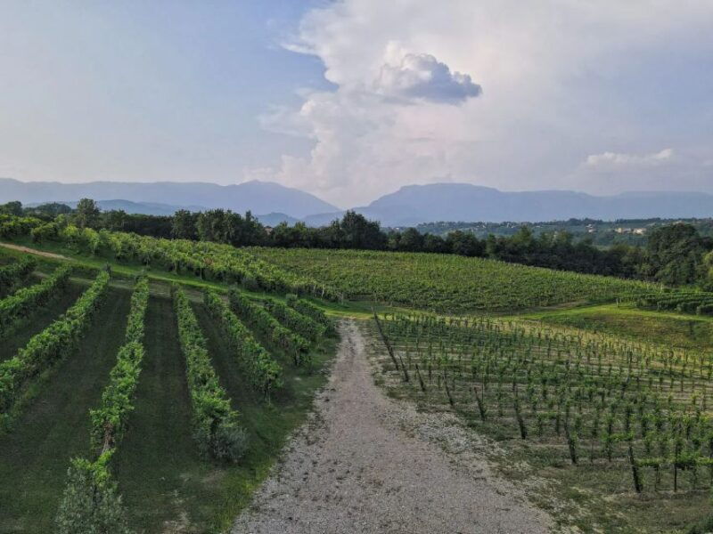 conegliano-prosecco-hills-and-vineyards-tour
