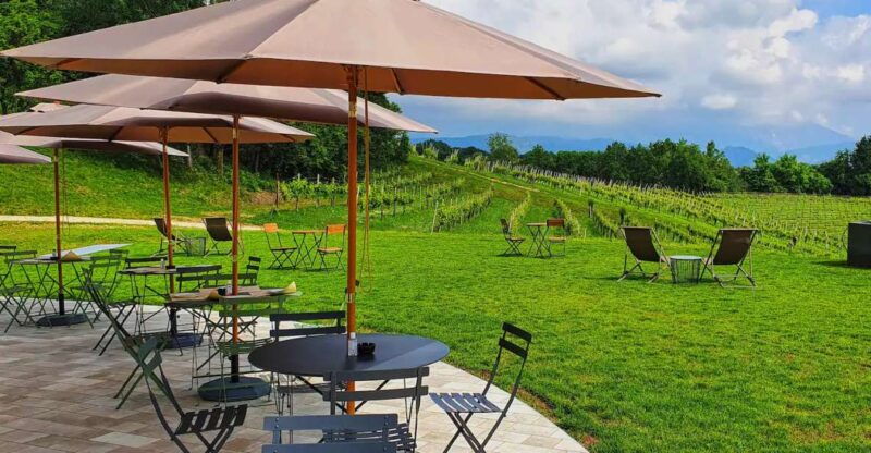 conegliano-prosecco-hills-and-vineyards-tour