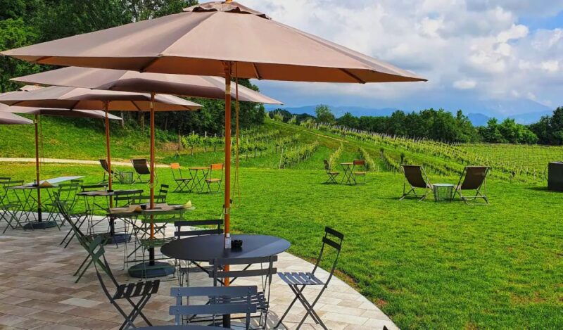 conegliano-prosecco-hills-and-vineyards-tour