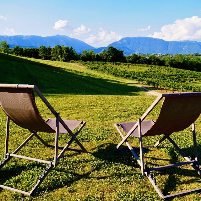 conegliano-prosecco-hills-and-vineyards-tour