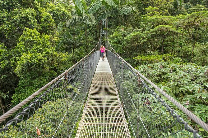 congo-combo-hanging-bridges-and-zipline-adventure