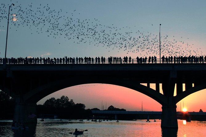 Congress Avenue Bat Bridge Kayak Tour in Austin - Exploring the Congress Avenue Bat Bridge Kayak Tour in Austin