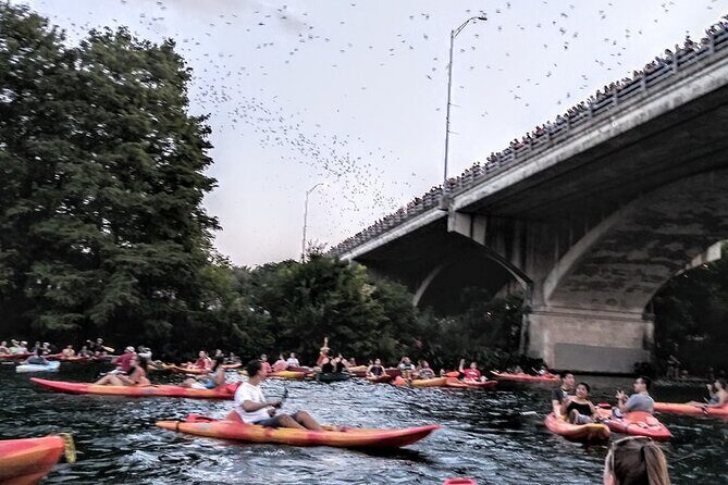 Congress Avenue Bat Bridge Kayak Tour in Austin - What’s Included and What You Should Bring