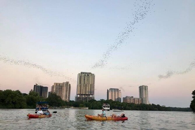 Congress Avenue Bat Bridge Kayak Tour in Austin - The Experience: Pros and Cons