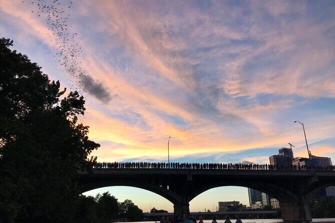 Congress Avenue Bat Bridge Kayak Tour in Austin - The Value of the Tour