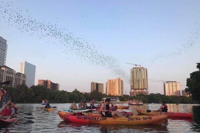 Congress Avenue Bat Bridge Kayak Tour in Austin - Who Should Consider This Tour?