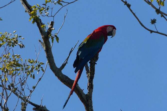 connect-with-the-nature-of-ibera-on-a-private-tour