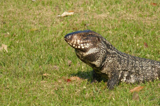 connect-with-the-nature-of-ibera-on-a-private-tour