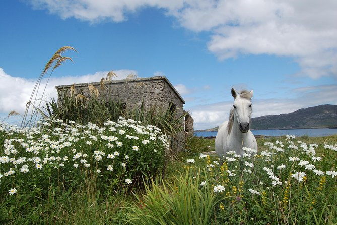 connemara-connemara-national-park-day-tour-from-galway-guided-2