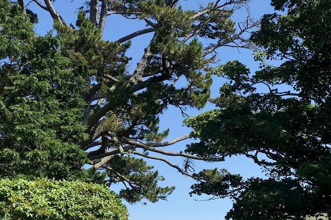 connemara-kylemore-abbey-and-wild-atlantic-way-tour-from-galway-2