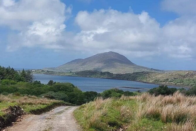connemara-sheep-farm-experience-kylemore-abbey-by-lux-limousine