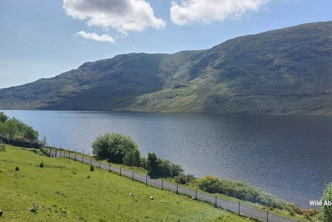 connemara-sheep-farm-experience-kylemore-abbey-by-lux-limousine