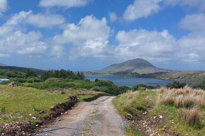 connemara-sheep-farm-experience-kylemore-abbey-by-lux-limousine
