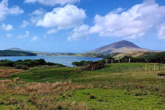 connemara-sheep-farm-experience-kylemore-abbey-by-lux-limousine