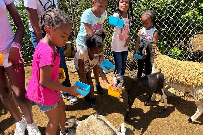 connors-farms-petting-zoo