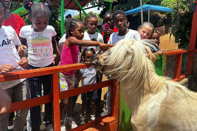 connors-farms-petting-zoo