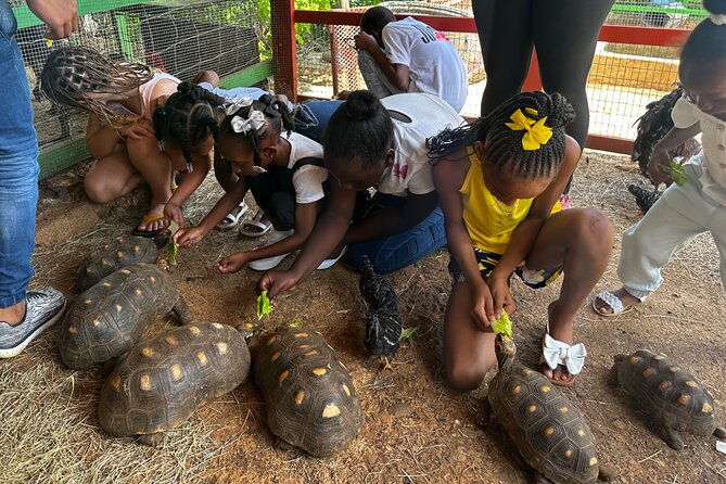connors-farms-petting-zoo