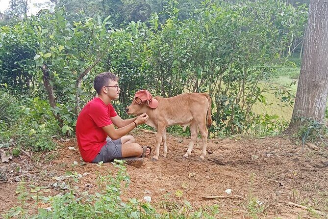 Conquering Duck massage at Duck Farm by Bicycle Tour - FAQ